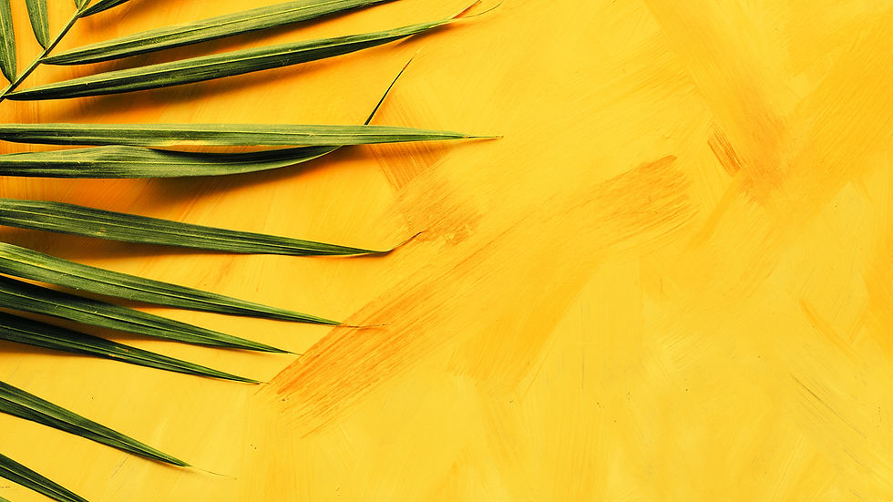 Yellow Wall